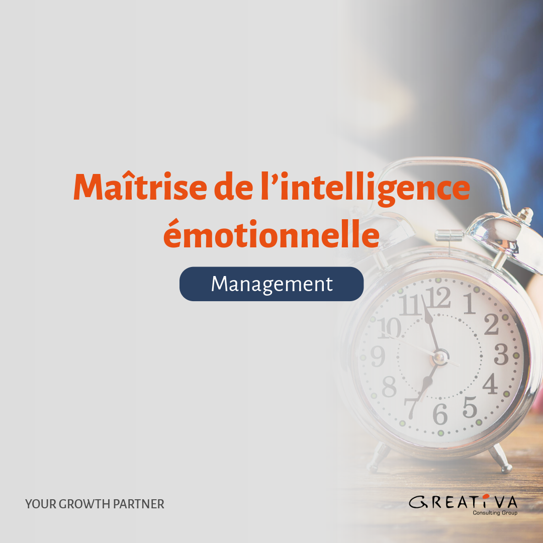 Maîtrise de l’Intelligence Émotionnelle
